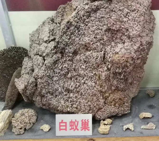 微信图片_20191223135238.png